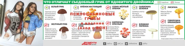 гидра Медвежьегорск