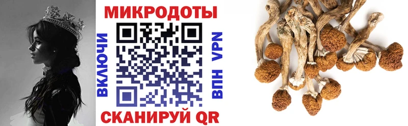 Купить где  Междуреченск  Галлюциногенные грибы Psilocybe 